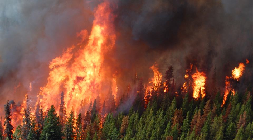 British Columbias Brutal Wildfire Season FEATURE